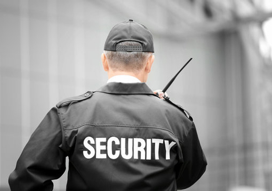 Human Security Services