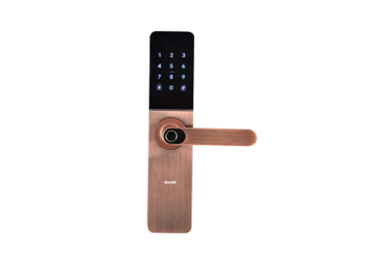 DORSET DIGITAL SMART DOOR